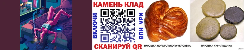 цена   Сковородино  ГАШ хэш 
