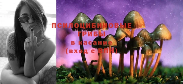 СК Белоозёрский